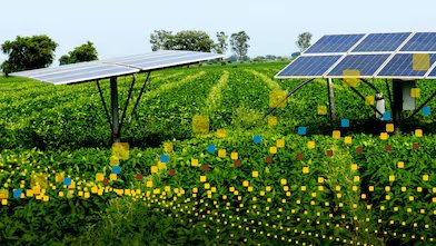Transforming to a net-zero emissions energy system