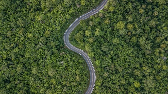Carbon Neutral Lubricants